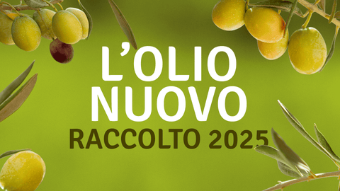 È arrivato il nuovo Olio Extravergine di Oliva 2025