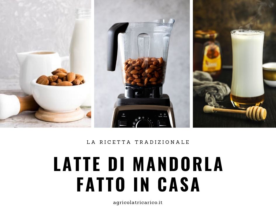 Latte di mandorle: Ricetta e Benefici