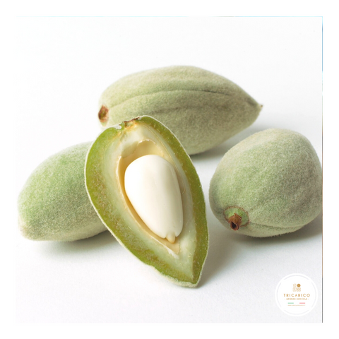 mandorle fresche