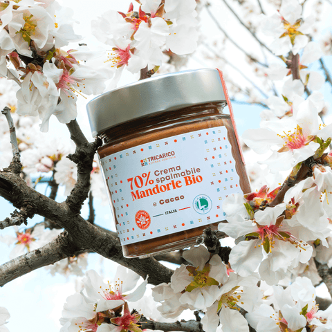 Dettaglio di Crema di Mandorle Bio 70% al Cacao