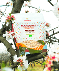 Dettaglio di Mandorle di Toritto Bio 100% Filippo Cea – Pelate