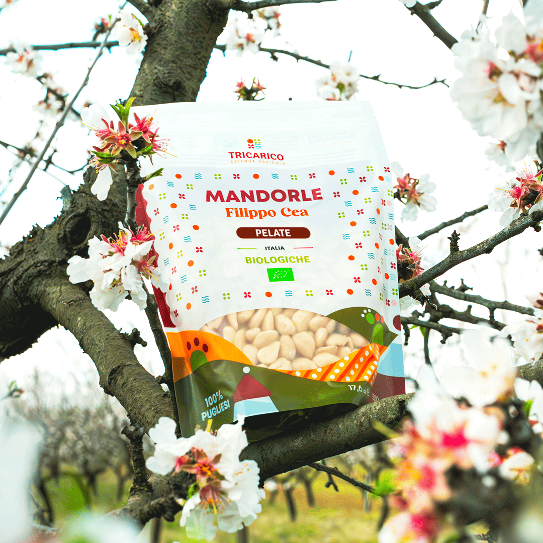 Amandes pelées biologiques Toritto Filippo Cea