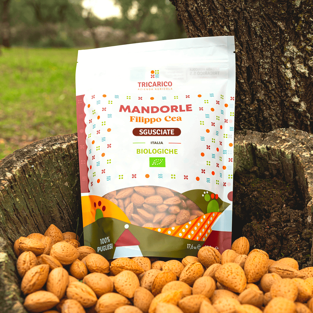 Amandes décortiquées biologiques Toritto Filippo Cea - récolte 2024